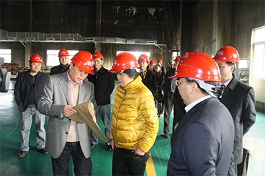 2012年1月31日，時任嘉興市委書記魯俊率領(lǐng)市發(fā)改委等市級部門負責(zé)人到公司調(diào)研