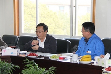 2013年3月18日，時任國家工信部節(jié)能司副司長楊鐵生一行蒞臨公司參觀指導(dǎo)